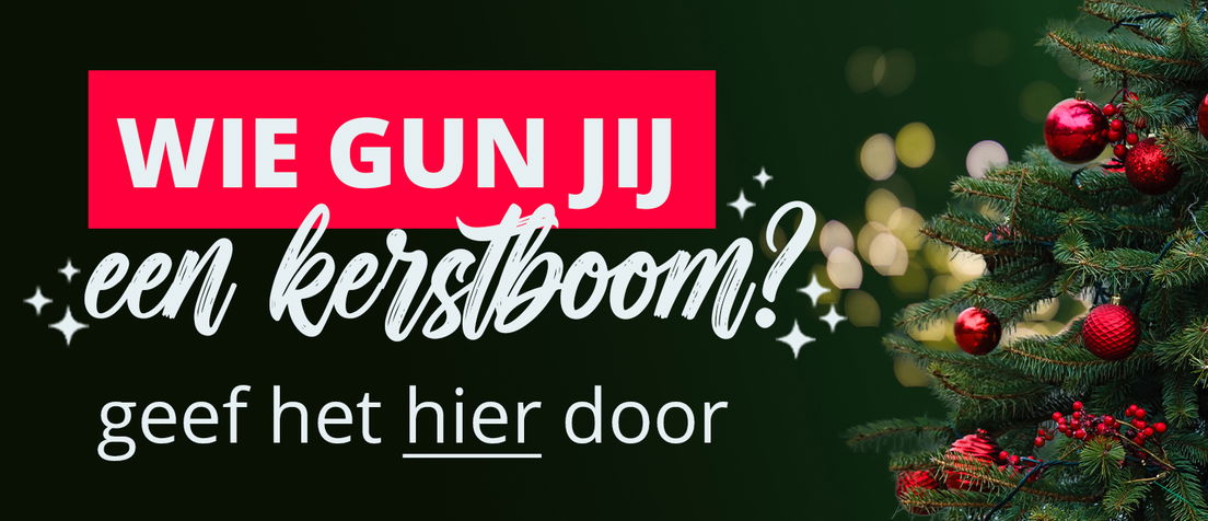 Wie gun jij een kerstboom?