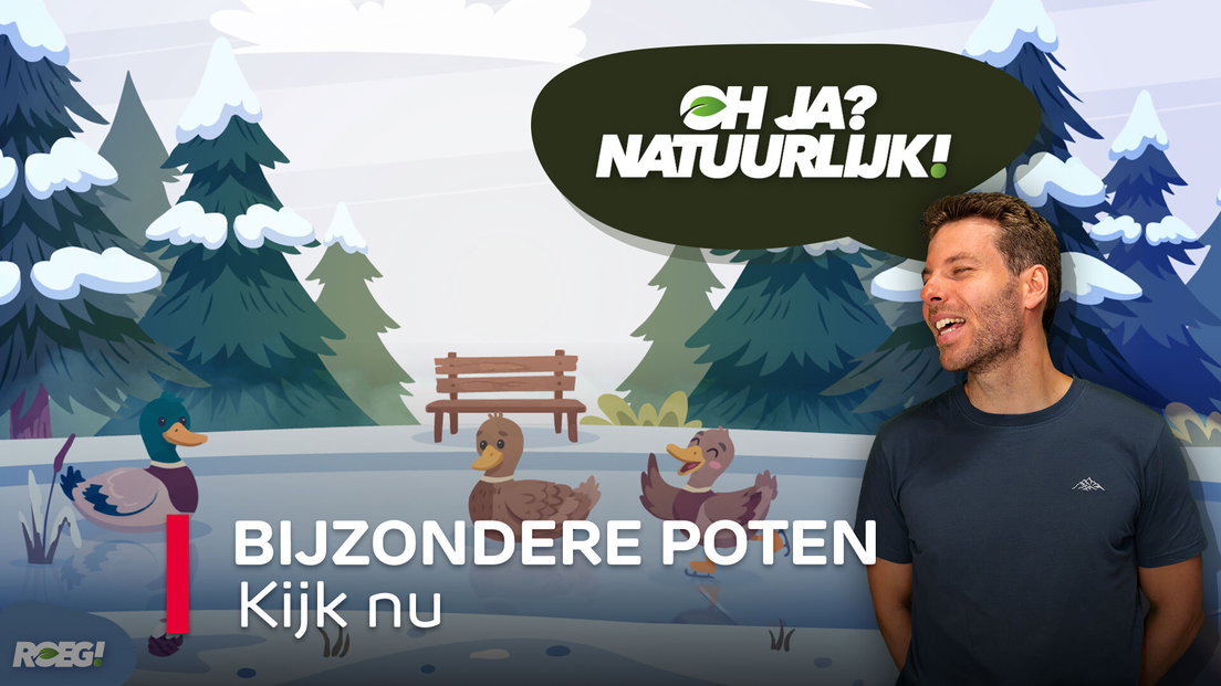 ROEG! Bijzondere poten - RTV Drenthe
