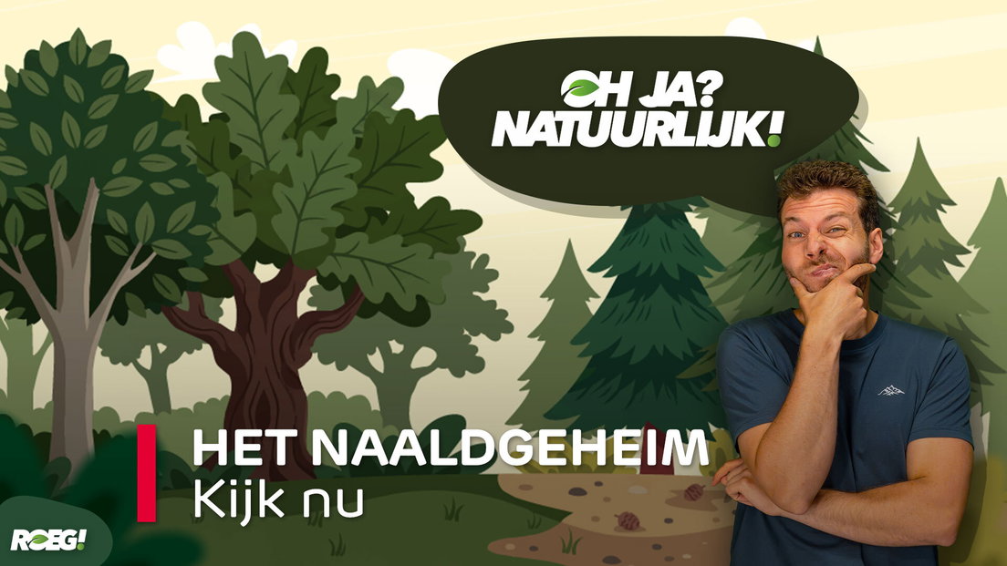 ROEG! Het Naaldgeheim - RTV Drenthe